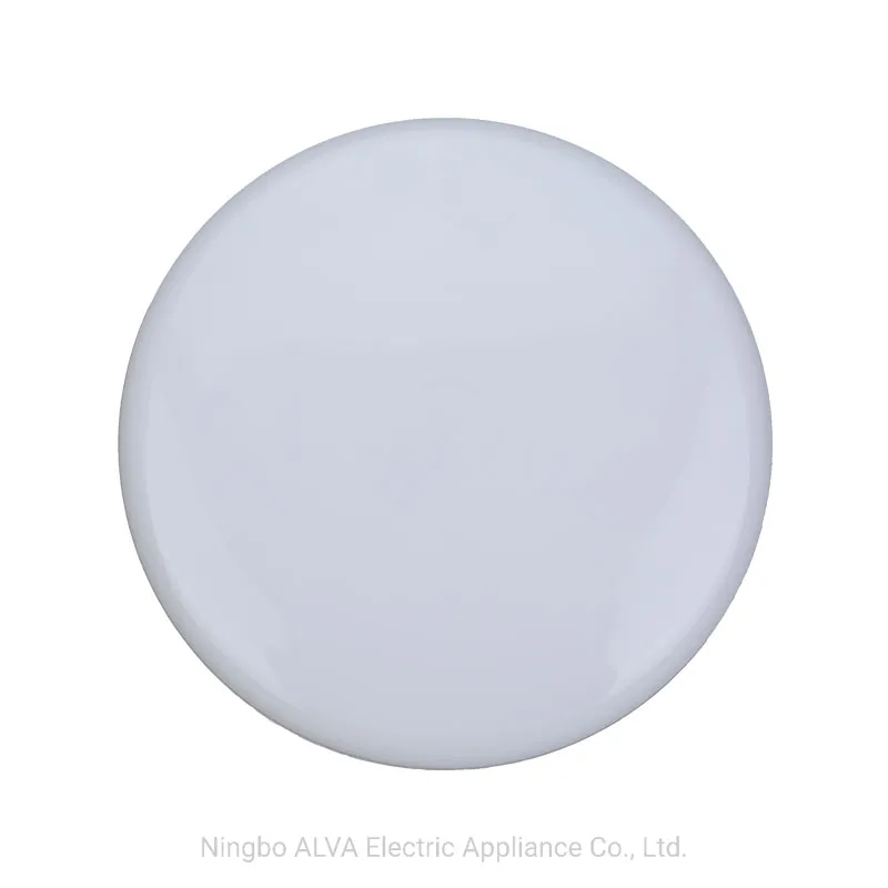Applique murale LED étanche IP65 pour l'extérieur, 24 W